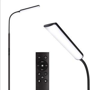 Dimunt LED Floor Lamp